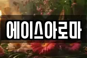 에이스아로마