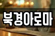북경아로마