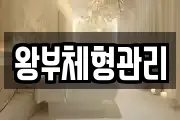 왕부체형관리
