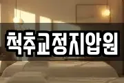 척추교정지압원