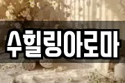 수힐링아로마