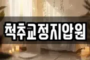 척추교정지압원