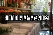 바디사이언스늘푸른안마원