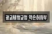 광교체형교정 약손허사부