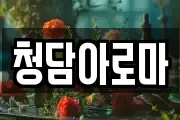 청담아로마