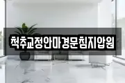 척추교정안마경문침지압원