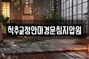 척추교정안마경문침지압원