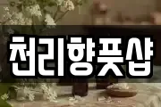 천리향풋샵