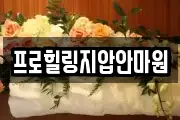 프로힐링지압안마원