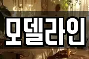 모델라인
