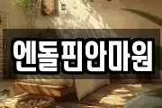 엔돌핀안마원
