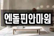 엔돌핀안마원