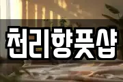 천리향풋샵