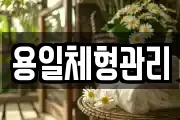 용일체형관리