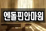 엔돌핀안마원