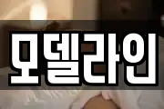모델라인