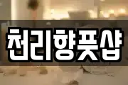 천리향풋샵