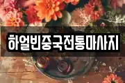경기 수원시 팔달구 팔달로1가 마사지, 지압등 업체정보