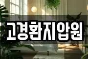 고경환지압원