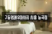 경기 시흥시 마사지, 지압등 업체정보