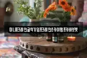 미니포크레인굴삭기덤프크레인스카이펌프카바브켓