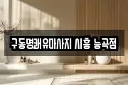 경기 시흥시 능곡동 마사지, 지압등 업체정보