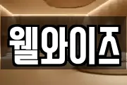 웰와이즈