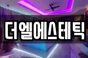 더엘에스테틱