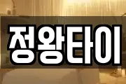 정왕타이