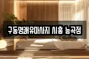 경기 시흥시 화정동 마사지, 지압등 업체정보
