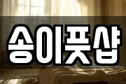 송이풋샵