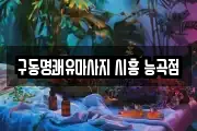 경기 안산시 단원구 화정동 마사지, 지압등 업체정보