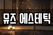 뮤즈 에스테틱