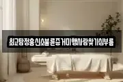 최고탐정흥신소불륜증거미행사람찾기심부름
