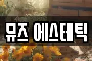 뮤즈 에스테틱