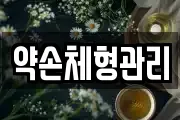 약손체형관리