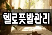 헬로풋발관리