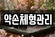 약손체형관리