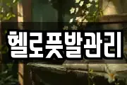 헬로풋발관리