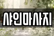 샤인마사지