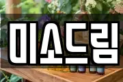 미소드림