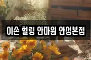 이손 힐링 안마원 안성본점