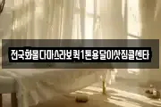 전국화물다마스라보퀵1톤용달이삿짐콜센타