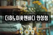 더하노이풋앤바디 안성점