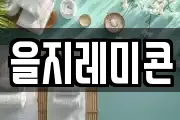 을지레미콘
