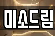 미소드림