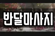 경기 안성시 양성면 마사지, 지압등 업체정보