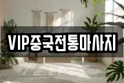 VIP중국전통마사지