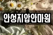 안성지압안마원