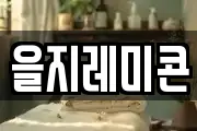 을지레미콘